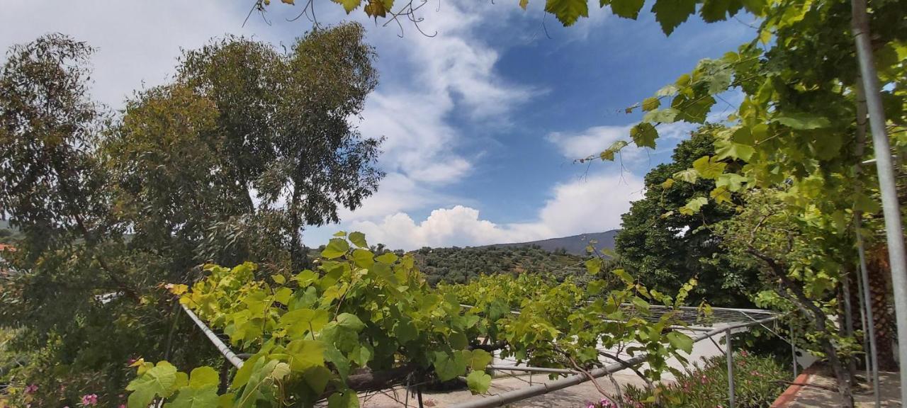 Villa Gonates Limenaria  Exterior photo